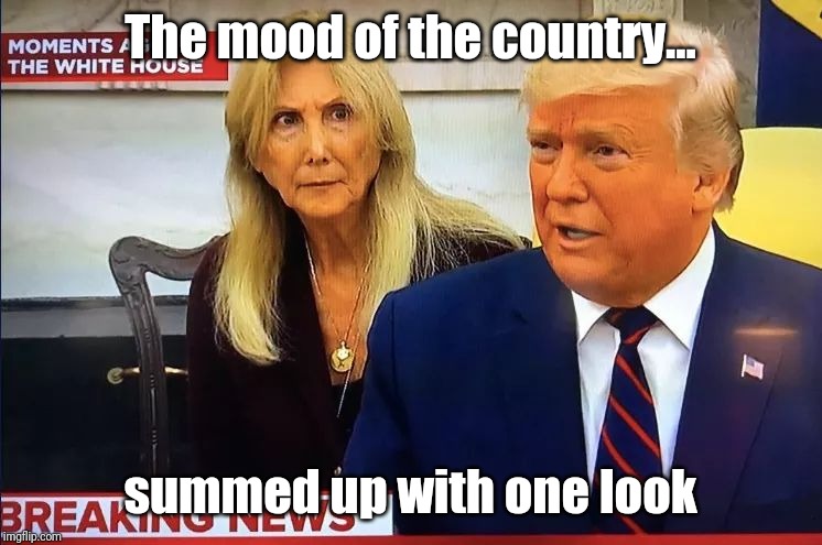 The mood of the country | The mood of the country... summed up with one look | image tagged in donald trump is an idiot | made w/ Imgflip meme maker