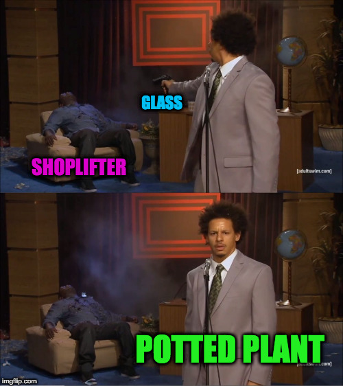 SHOPLIFTER GLASS POTTED PLANT | image tagged in memes,who killed hannibal | made w/ Imgflip meme maker