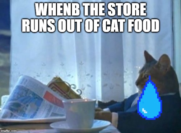 I Should Buy A Boat Cat | WHENB THE STORE RUNS OUT OF CAT FOOD | image tagged in memes,i should buy a boat cat | made w/ Imgflip meme maker