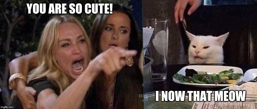 woman yelling at cat | YOU ARE SO CUTE! I NOW THAT MEOW | image tagged in woman yelling at cat | made w/ Imgflip meme maker