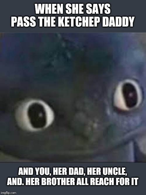 Toothless ._. face | WHEN SHE SAYS PASS THE KETCHEP DADDY; AND YOU, HER DAD, HER UNCLE, AND. HER BROTHER ALL REACH FOR IT | image tagged in toothless _ face | made w/ Imgflip meme maker