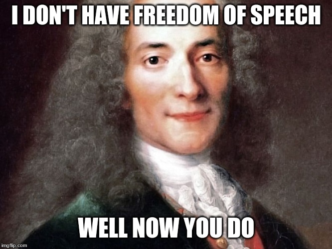 Freedom of speach | I DON'T HAVE FREEDOM OF SPEECH; WELL NOW YOU DO | image tagged in fun | made w/ Imgflip meme maker