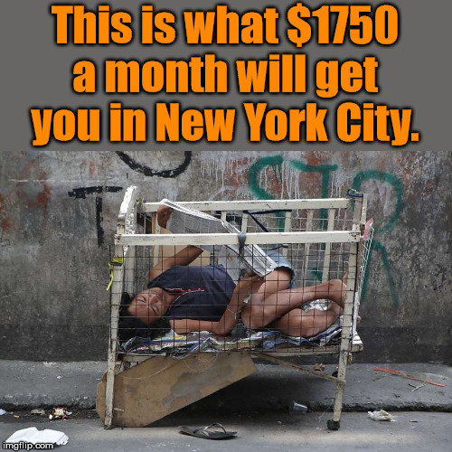 Rent is to high | This is what $1750 a month will get you in New York City. | image tagged in too damn high,new york city | made w/ Imgflip meme maker