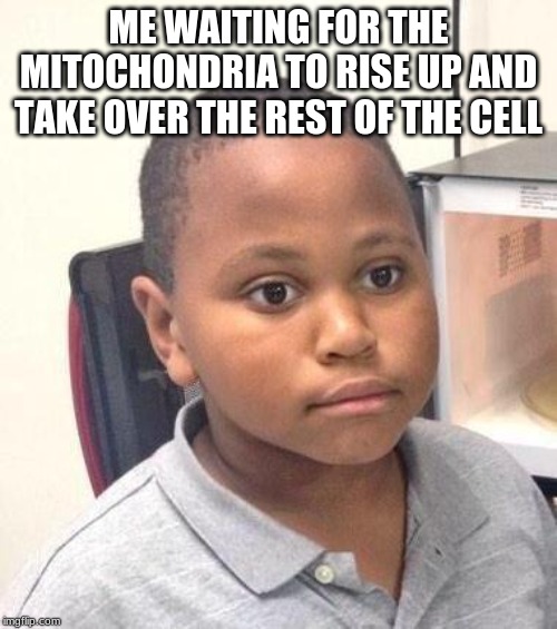 Minor Mistake Marvin Meme | ME WAITING FOR THE MITOCHONDRIA TO RISE UP AND TAKE OVER THE REST OF THE CELL | image tagged in memes,minor mistake marvin | made w/ Imgflip meme maker