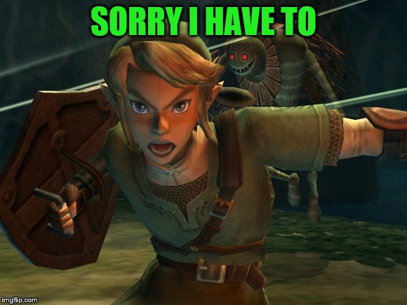 Link Legend of Zelda Yelling | SORRY I HAVE TO | image tagged in link legend of zelda yelling | made w/ Imgflip meme maker