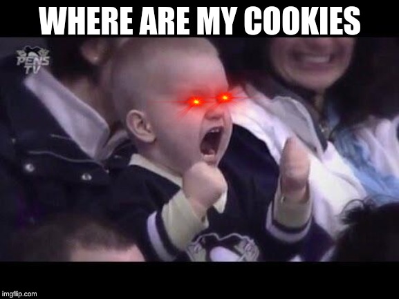 Hockey baby | WHERE ARE MY COOKIES | image tagged in hockey baby | made w/ Imgflip meme maker