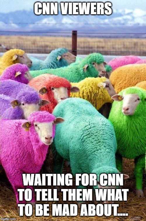 Easter Sheep | CNN VIEWERS; WAITING FOR CNN TO TELL THEM WHAT TO BE MAD ABOUT.... | image tagged in easter sheep | made w/ Imgflip meme maker
