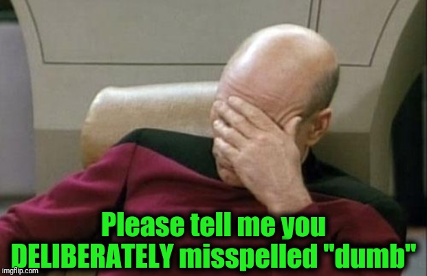 Captain Picard Facepalm Meme | Please tell me you DELIBERATELY misspelled "dumb" | image tagged in memes,captain picard facepalm | made w/ Imgflip meme maker