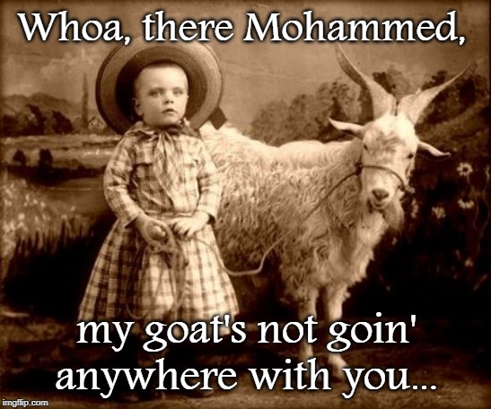 Whoa... | Whoa, there Mohammed, my goat's not goin' anywhere with you... | image tagged in goat,mohammed,not,going | made w/ Imgflip meme maker
