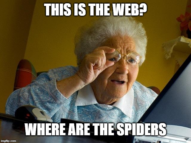 Grandma Finds The Internet | THIS IS THE WEB? WHERE ARE THE SPIDERS | image tagged in memes,grandma finds the internet | made w/ Imgflip meme maker