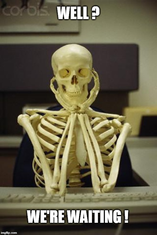 Well? We're Waiting! | WELL ? WE'RE WAITING ! | image tagged in waiting skeleton,funny memes,still waiting,happy halloween,internet | made w/ Imgflip meme maker