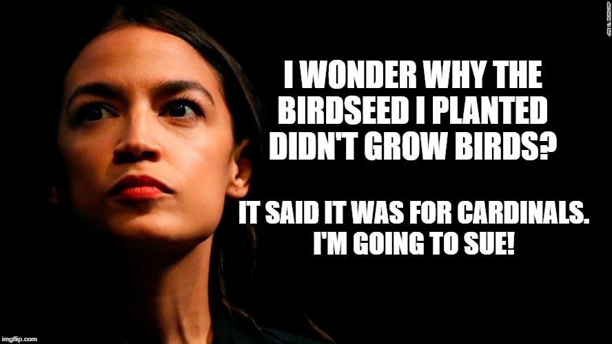 ocasio-cortez super genius | I WONDER WHY THE BIRDSEED I PLANTED DIDN'T GROW BIRDS? IT SAID IT WAS FOR CARDINALS.
I'M GOING TO SUE! | image tagged in ocasio-cortez super genius | made w/ Imgflip meme maker