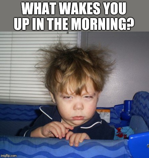Alarm clock,  pets, kids, the rooster crowing at the rising sun?  What's your signal that it's time to start the day? | WHAT WAKES YOU UP IN THE MORNING? | image tagged in monday mornings,alarm clock,new day | made w/ Imgflip meme maker