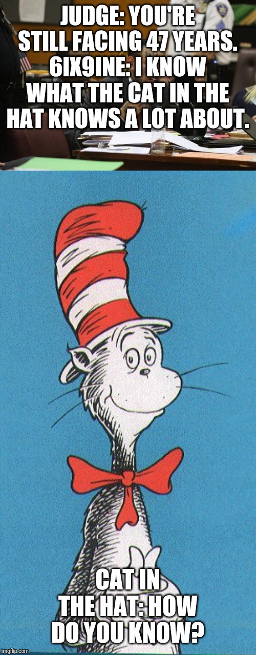 JUDGE: YOU'RE STILL FACING 47 YEARS.
6IX9INE: I KNOW WHAT THE CAT IN THE HAT KNOWS A LOT ABOUT. CAT IN THE HAT: HOW DO YOU KNOW? | image tagged in cat in the hat,tekashi snitching | made w/ Imgflip meme maker