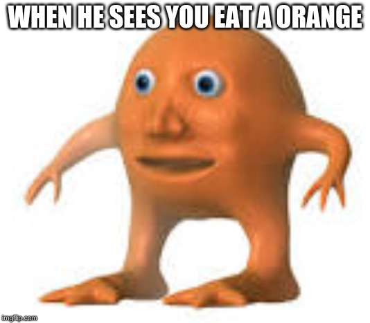meme oranges | WHEN HE SEES YOU EAT A ORANGE | image tagged in meme oranges | made w/ Imgflip meme maker