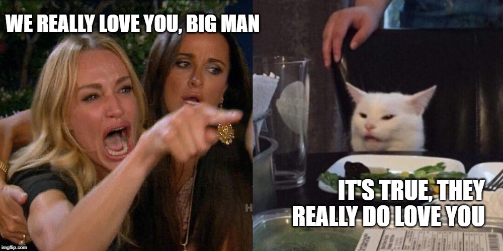 a woman yelling at cat | WE REALLY LOVE YOU, BIG MAN; IT'S TRUE, THEY REALLY DO LOVE YOU | image tagged in a woman yelling at cat,red dwarf | made w/ Imgflip meme maker
