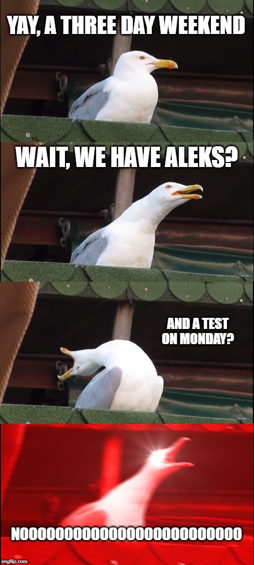 Inhaling Seagull | YAY, A THREE DAY WEEKEND; WAIT, WE HAVE ALEKS? AND A TEST ON MONDAY? NOOOOOOOOOOOOOOOOOOOOOOOOO | image tagged in memes,inhaling seagull | made w/ Imgflip meme maker