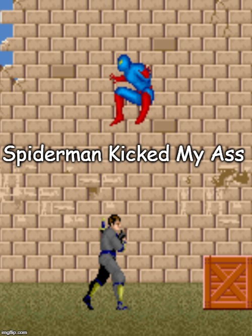 Spiderman Kicked My Ass | image tagged in spiderman,shinobi,ninja | made w/ Imgflip meme maker