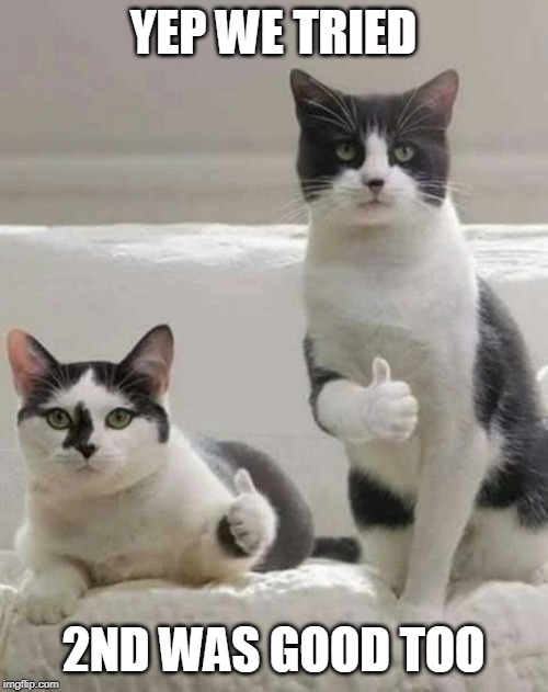 THUMBS UP CATS | YEP WE TRIED 2ND WAS GOOD TOO | image tagged in thumbs up cats | made w/ Imgflip meme maker