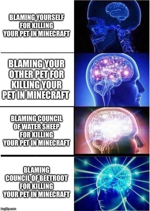 Expanding Brain | BLAMING YOURSELF FOR KILLING YOUR PET IN MINECRAFT; BLAMING YOUR OTHER PET FOR KILLING YOUR PET IN MINECRAFT; BLAMING COUNCIL OF WATER SHEEP FOR KILLING YOUR PET IN MINECRAFT; BLAMING COUNCIL OF BEETROOT FOR KILLING YOUR PET IN MINECRAFT | image tagged in memes,expanding brain | made w/ Imgflip meme maker