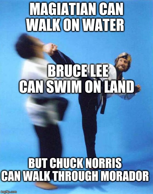 the truth of chuck | MAGIATIAN CAN WALK ON WATER; BRUCE LEE CAN SWIM ON LAND; BUT CHUCK NORRIS CAN WALK THROUGH MORADOR | image tagged in roundhouse kick chuck norris,memes,funny memes | made w/ Imgflip meme maker