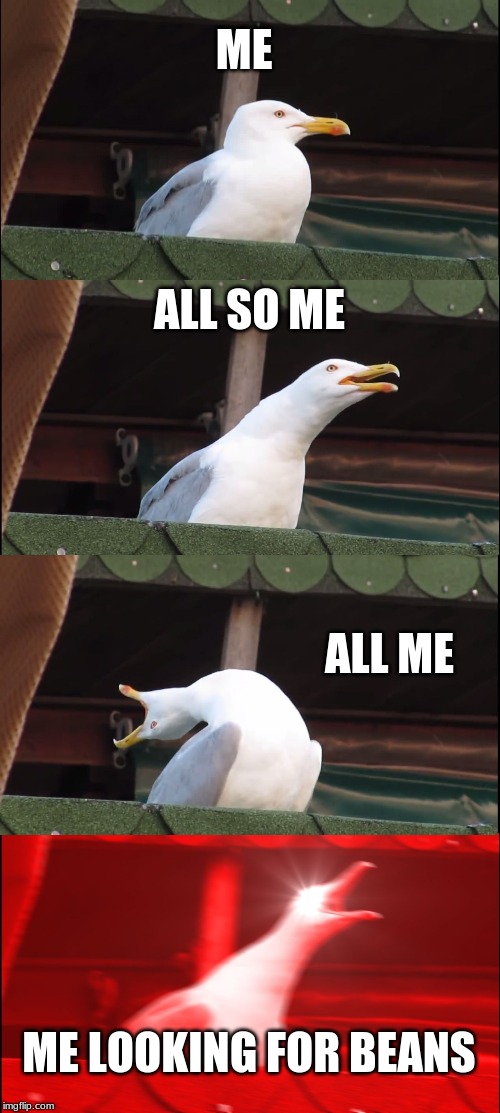 Inhaling Seagull | ME; ALL SO ME; ALL ME; ME LOOKING FOR BEANS | image tagged in memes,inhaling seagull | made w/ Imgflip meme maker