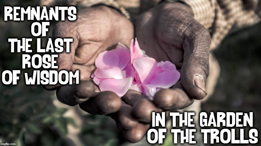 Ever Get a Truly Great Comment?  They are Rare... | REMNANTS OF THE LAST ROSE OF WISDOM IN THE GARDEN OF THE TROLLS | image tagged in vince vance,meme comments,imgflip trolls,wisdom,dirty hands,flower petals | made w/ Imgflip meme maker