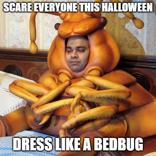 Scary Bedbug Costume | SCARE EVERYONE THIS HALLOWEEN; DRESS LIKE A BEDBUG | image tagged in bedbug costume,bedbugs,halloween,gross | made w/ Imgflip meme maker