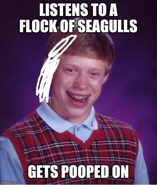 Bad Luck Brian | LISTENS TO A FLOCK OF SEAGULLS; GETS POOPED ON | image tagged in memes,bad luck brian | made w/ Imgflip meme maker