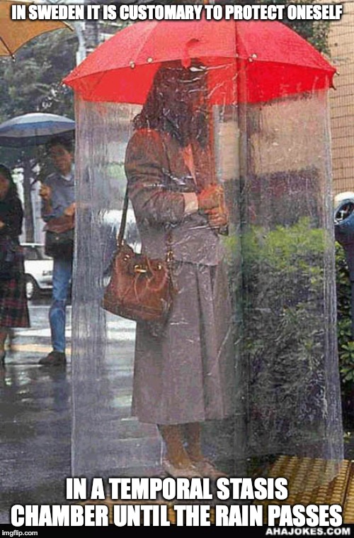 Umbrella | IN SWEDEN IT IS CUSTOMARY TO PROTECT ONESELF; IN A TEMPORAL STASIS CHAMBER UNTIL THE RAIN PASSES | image tagged in umbrella,memes | made w/ Imgflip meme maker