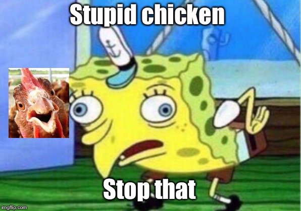 Mocking Spongebob | Stupid chicken; Stop that | image tagged in memes,mocking spongebob | made w/ Imgflip meme maker