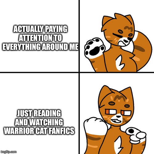Thunder Drake Meme | ACTUALLY PAYING ATTENTION TO EVERYTHING AROUND ME; JUST READING AND WATCHING WARRIOR CAT FANFICS | image tagged in thunder drake meme | made w/ Imgflip meme maker