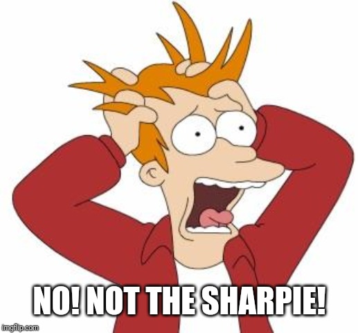 Fry Freaking Out | NO! NOT THE SHARPIE! | image tagged in fry freaking out | made w/ Imgflip meme maker
