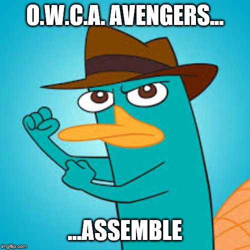  Perry the Platypus | Phineas and Ferb Wiki | Fandom powered by  | O.W.C.A. AVENGERS... ...ASSEMBLE | image tagged in perry the platypus  phineas and ferb wiki  fandom powered by | made w/ Imgflip meme maker