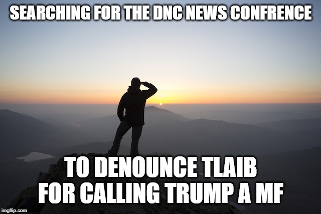 Searching | SEARCHING FOR THE DNC NEWS CONFRENCE; TO DENOUNCE TLAIB FOR CALLING TRUMP A MF | image tagged in searching | made w/ Imgflip meme maker