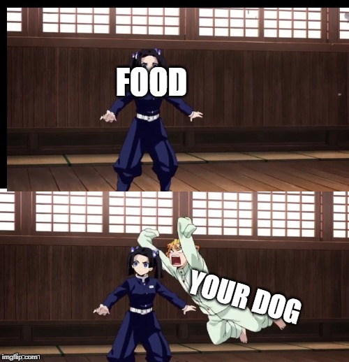 Zenitsu | FOOD; YOUR DOG | image tagged in zenitsu | made w/ Imgflip meme maker