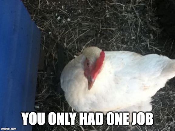 Angry Chicken Boss Meme | YOU ONLY HAD ONE JOB | image tagged in memes,angry chicken boss | made w/ Imgflip meme maker