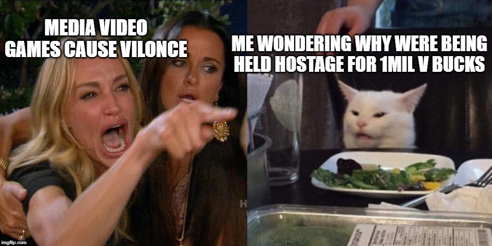 Woman yelling at cat | ME WONDERING WHY WERE BEING HELD HOSTAGE FOR 1MIL V BUCKS; MEDIA VIDEO GAMES CAUSE VILONCE | image tagged in woman yelling at cat | made w/ Imgflip meme maker