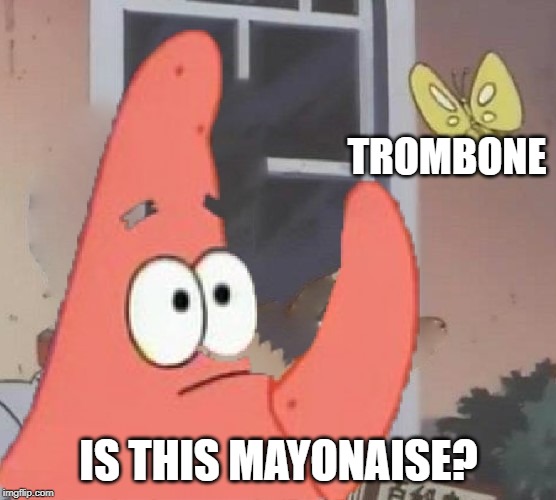 No Patrick! | TROMBONE; IS THIS MAYONAISE? | image tagged in patrick star | made w/ Imgflip meme maker