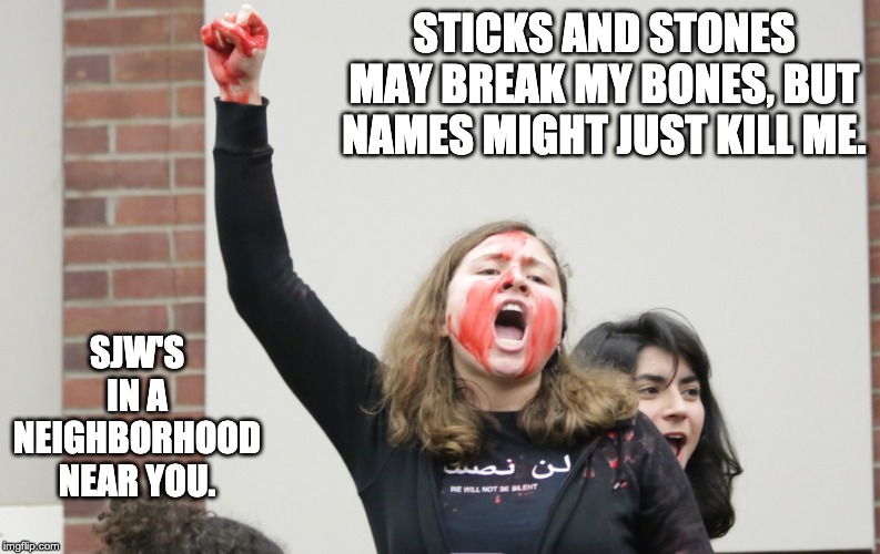 SJW-Rutgers | STICKS AND STONES MAY BREAK MY BONES, BUT NAMES MIGHT JUST KILL ME. SJW'S IN A NEIGHBORHOOD NEAR YOU. | image tagged in sjw-rutgers | made w/ Imgflip meme maker