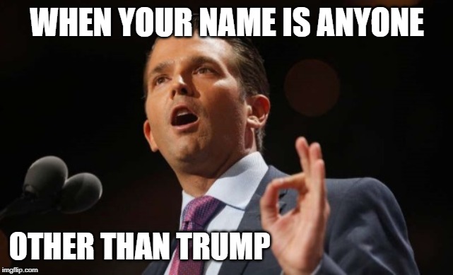 Donald Trump Jr. | WHEN YOUR NAME IS ANYONE OTHER THAN TRUMP | image tagged in donald trump jr | made w/ Imgflip meme maker