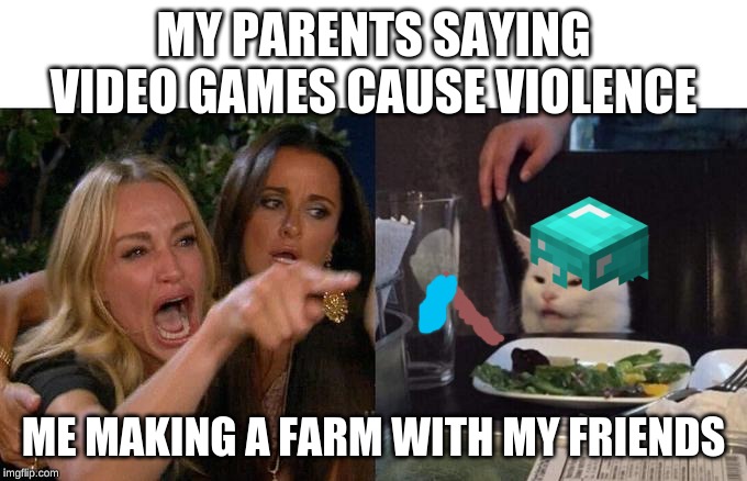 To true | MY PARENTS SAYING VIDEO GAMES CAUSE VIOLENCE; ME MAKING A FARM WITH MY FRIENDS | image tagged in two women yelling at a cat | made w/ Imgflip meme maker