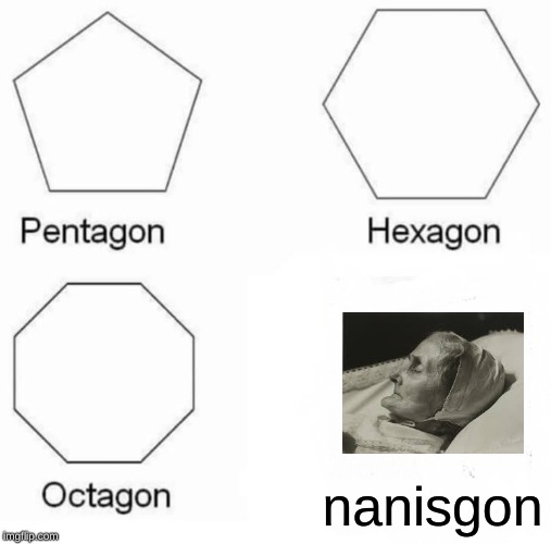 Pentagon Hexagon Octagon | nanisgon | image tagged in memes,pentagon hexagon octagon | made w/ Imgflip meme maker