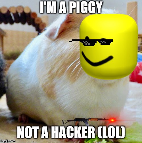 not a hacker | I'M A PIGGY; NOT A HACKER (LOL) | image tagged in memes,hackers,piggy,guinea pig | made w/ Imgflip meme maker