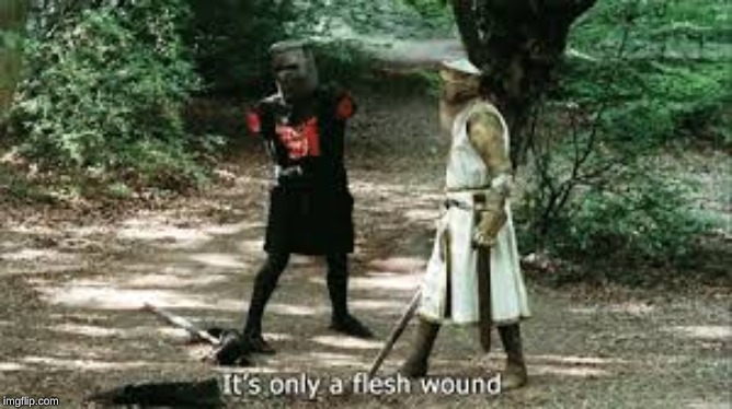 It's Just a Flesh Wound | image tagged in it's just a flesh wound | made w/ Imgflip meme maker