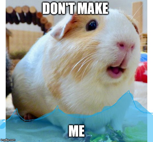 the piggy bath | DON'T MAKE; ME | image tagged in the piggy bath,g-pigs | made w/ Imgflip meme maker