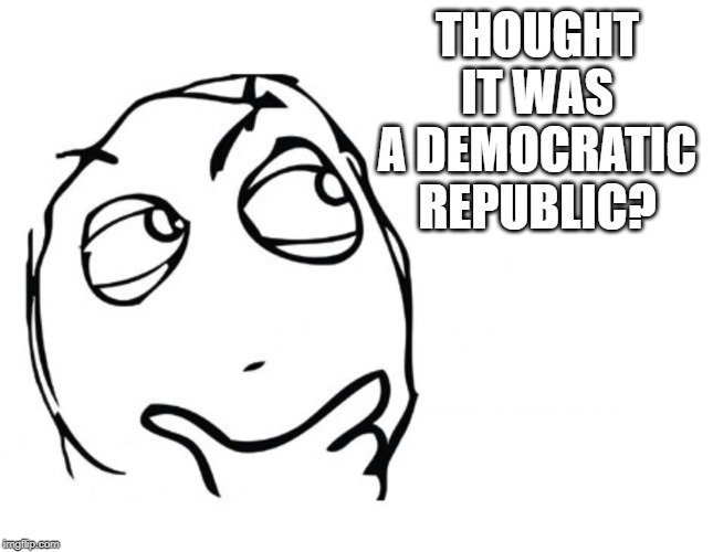 hmmm | THOUGHT IT WAS A DEMOCRATIC REPUBLIC? | image tagged in hmmm | made w/ Imgflip meme maker