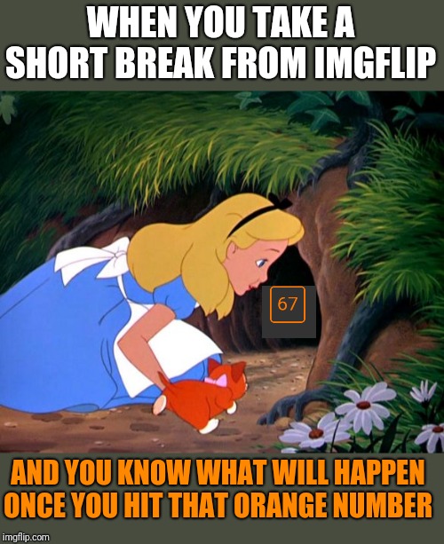 Me looking down the rabbit hole that is imgflip | WHEN YOU TAKE A SHORT BREAK FROM IMGFLIP; AND YOU KNOW WHAT WILL HAPPEN ONCE YOU HIT THAT ORANGE NUMBER | image tagged in alice looking down the rabbit hole,notifications,aint nobody got time for that | made w/ Imgflip meme maker