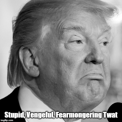 New Assessment Of President Donald Trump | Stupid, Vengeful, Fearmongering Twat | image tagged in trump,mafia don,despicable donald,deplorable donald,dishonest donald,dishonorable donald | made w/ Imgflip meme maker