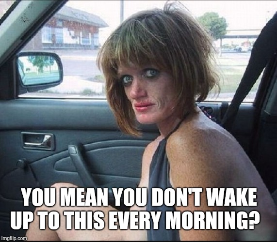 crack whore hooker | YOU MEAN YOU DON'T WAKE UP TO THIS EVERY MORNING? | image tagged in crack whore hooker | made w/ Imgflip meme maker